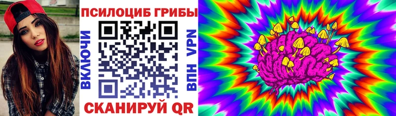 Псилоцибиновые грибы Psilocybe Купить где Ахтубинск